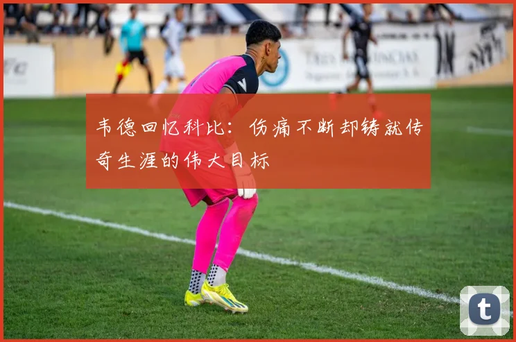 韦德回忆科比：伤痛不断却铸就传奇生涯的伟大目标